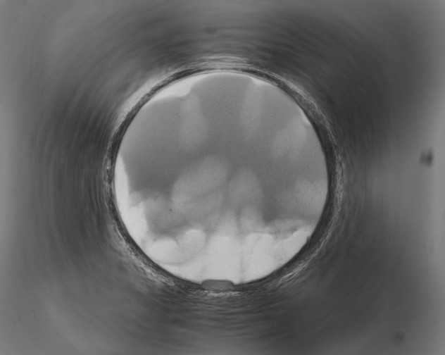 X0000114701325200912021059