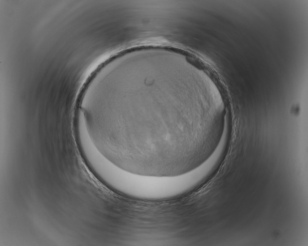 X0000114701326200912021059