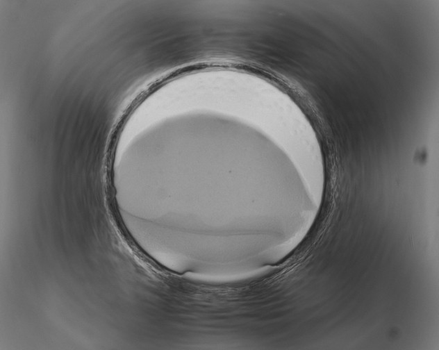 X0000114701327200912021059