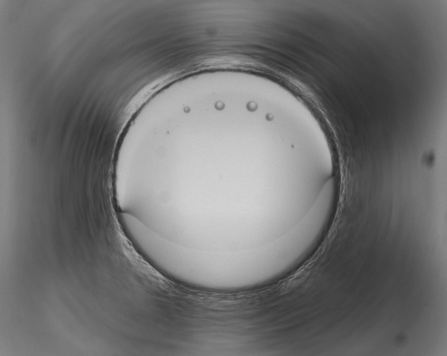 X0000114701330200912021059