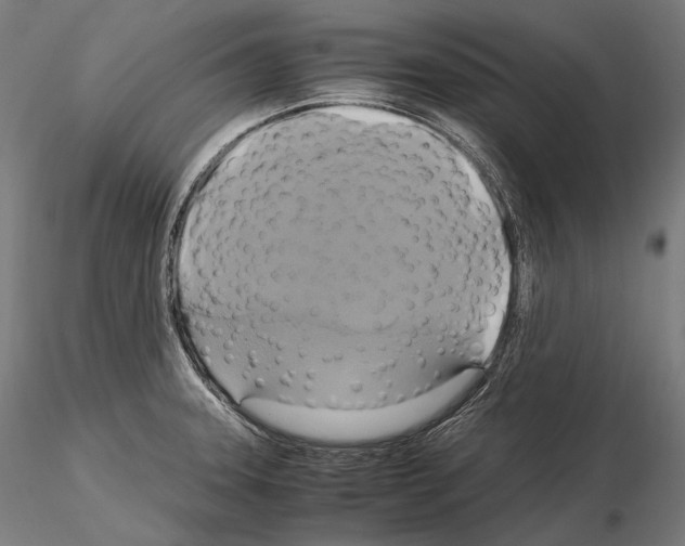 X0000114701331200912021059