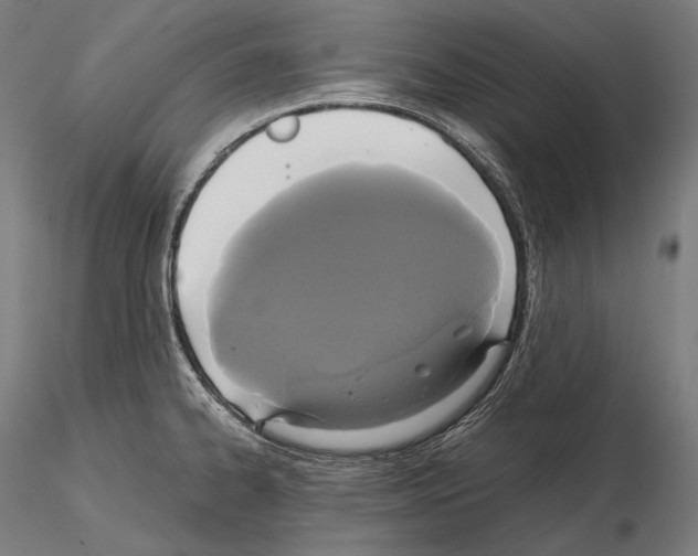 X0000114701334200912021059