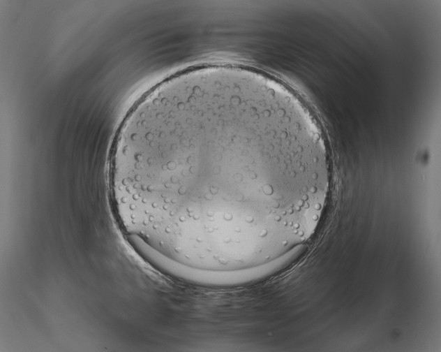 X0000114701335200912021059