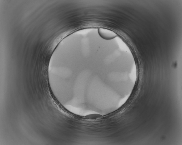 X0000114701337200912021059