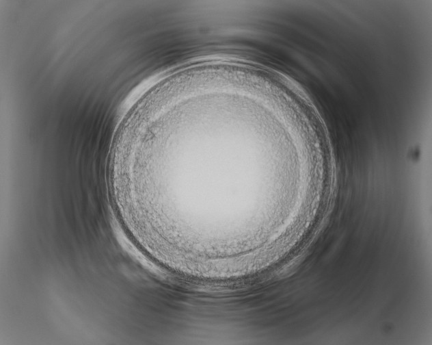 X0000114701338200912021059