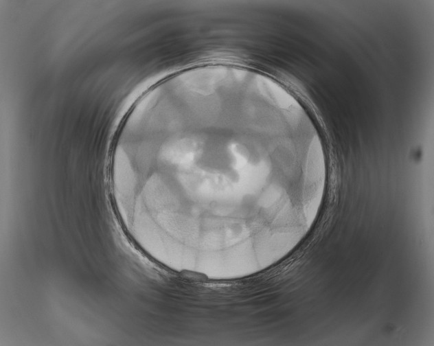 X0000114701339200912021059