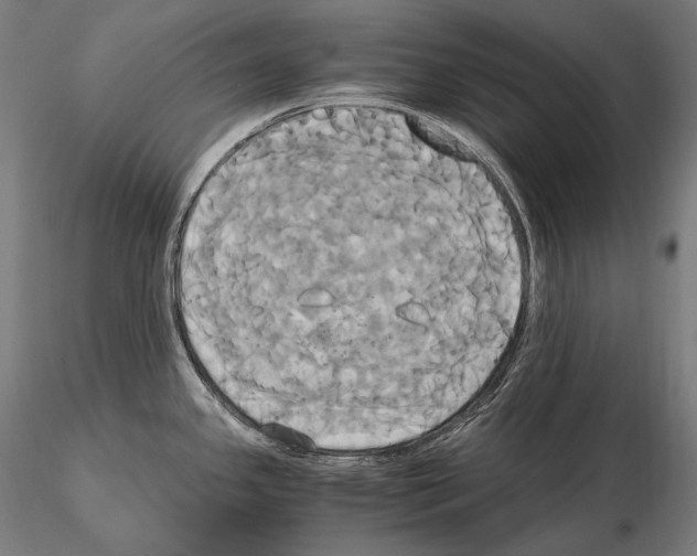 X0000114701341200912021059