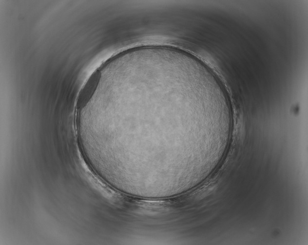 X0000114701342200912021059