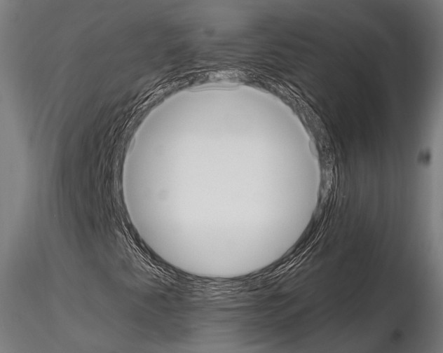 X0000114701345200912021059