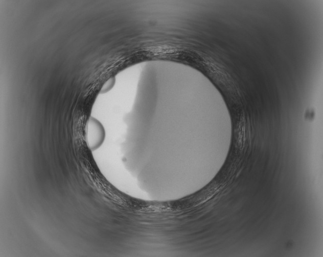 X0000114701346200912021059