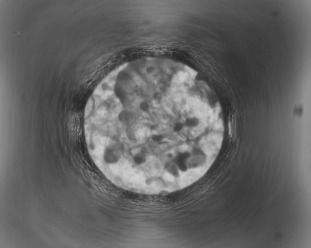 X0000114701347200912021059