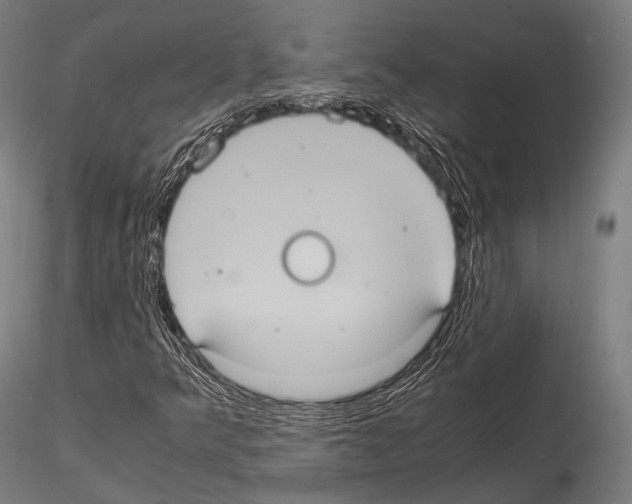 X0000114701349200912021059