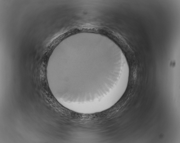 X0000114701350200912021059