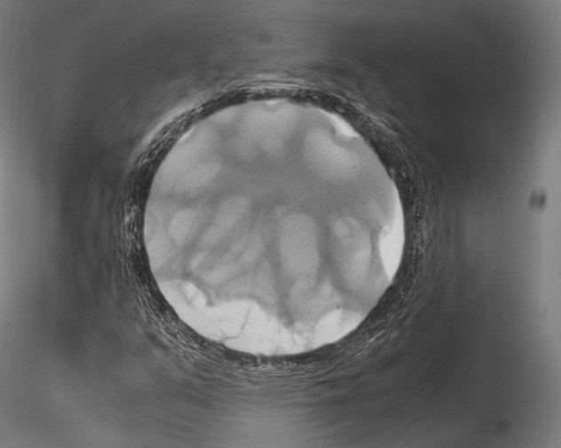 X0000114701351200912021059