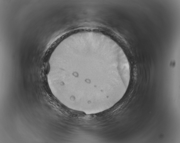 X0000114701352200912021059