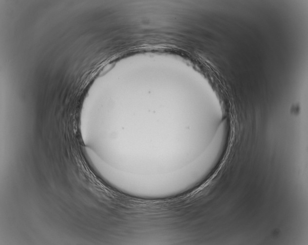 X0000114701353200912021059