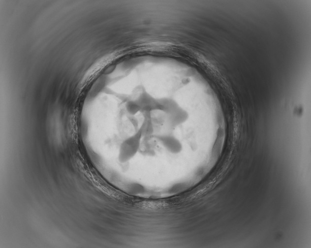 X0000114701354200912021059