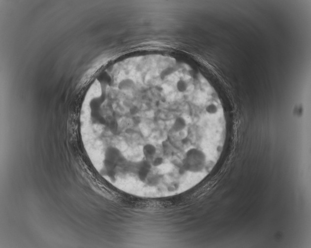 X0000114701355200912021059