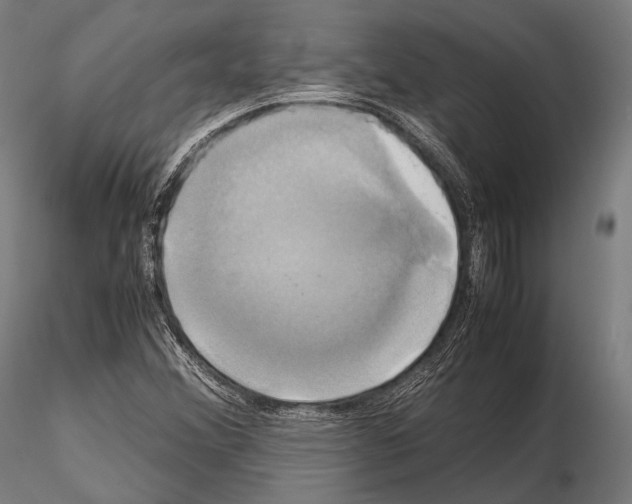 X0000114701356200912021059