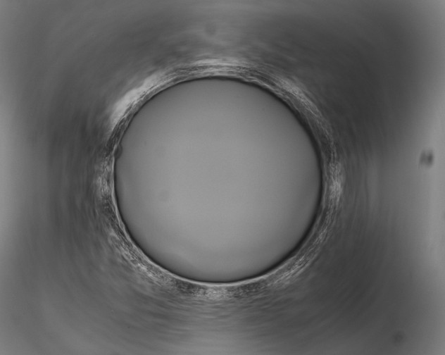 X0000114701357200912021059