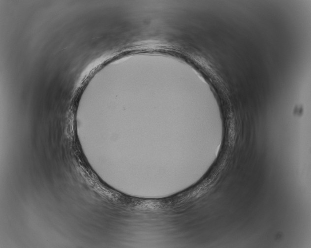 X0000114701358200912021058