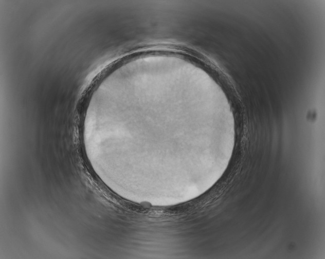 X0000114701360200912021058