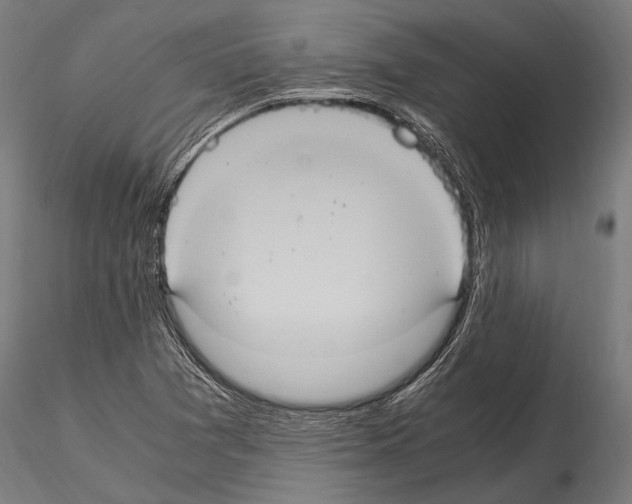 X0000114701361200912021058