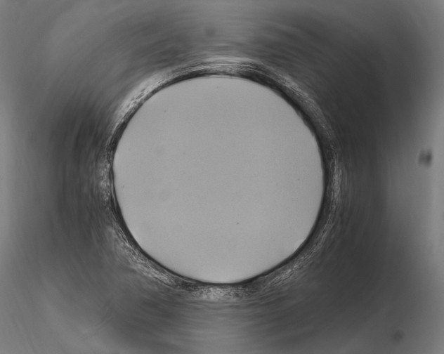 X0000114701362200912021058