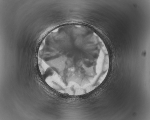 X0000114701363200912021058