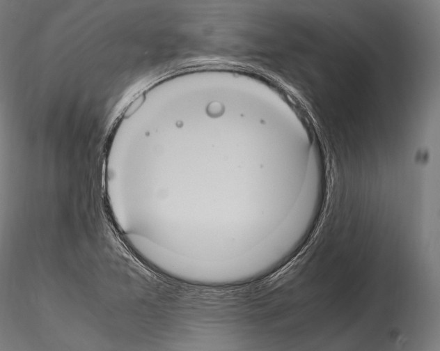 X0000114701365200912021058