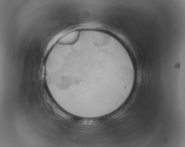 X0000114701366200912021058