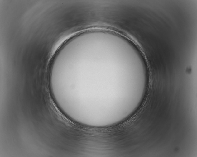 X0000114701368200912021058