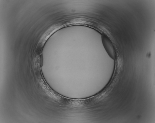 X0000114701369200912021058