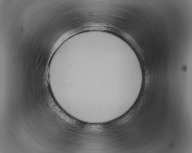 X0000114701370200912021058