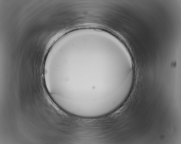 X0000114701373200912021058