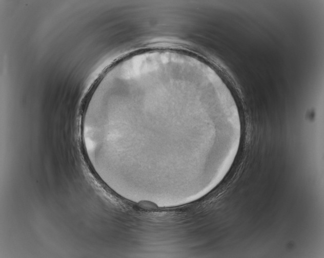 X0000114701376200912021058