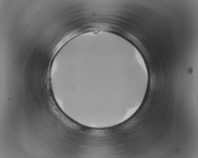 X0000114701378200912021058