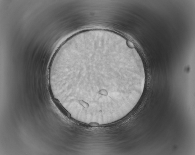 X0000114701380200912021058