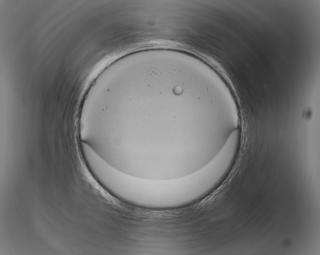 X0000114701381200912021058