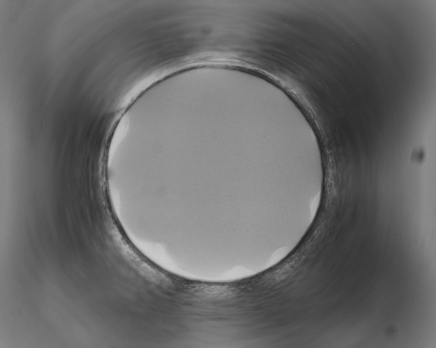 X0000114701382200912021058