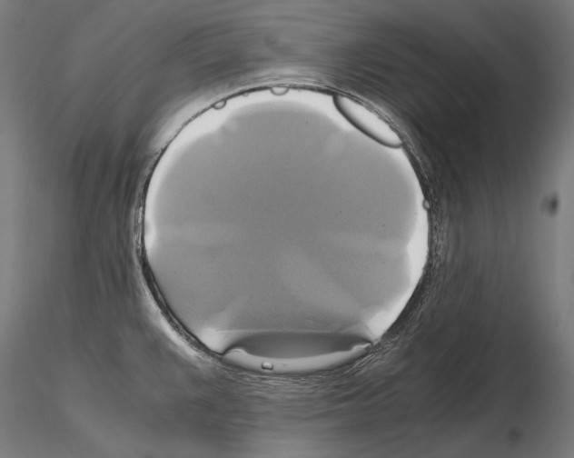 X0000114701383200912021058