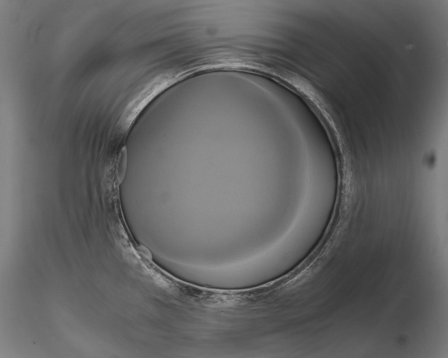 X0000114701385200912021058