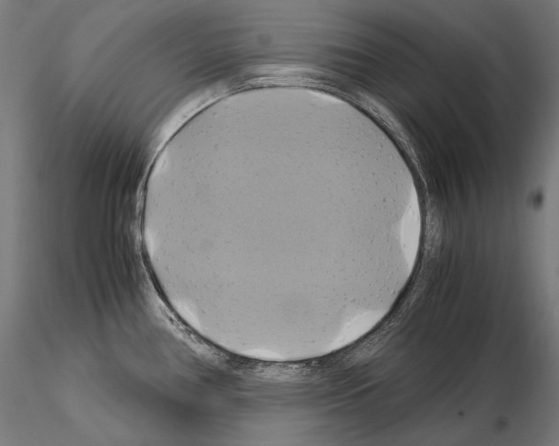 X0000114701386200912021058