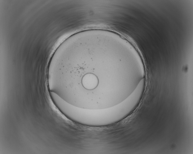 X0000114701389200912021058