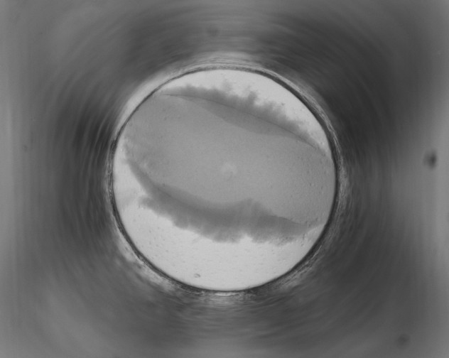 X0000114701390200912021058