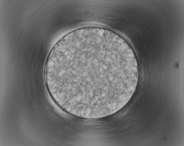 X0000114701391200912021058