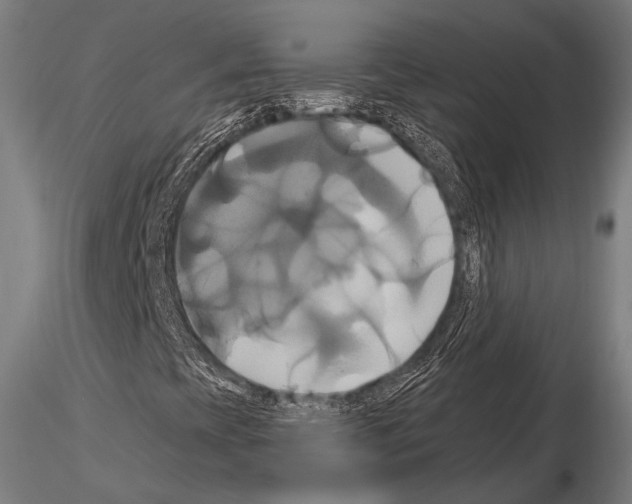 X0000114701393200912021057