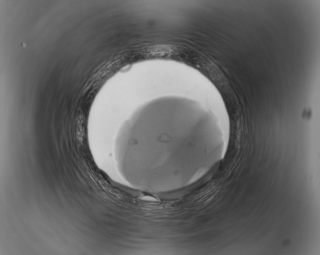 X0000114701394200912021057