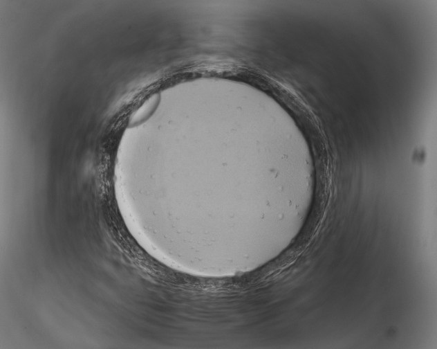 X0000114701399200912021057