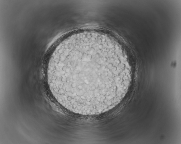 X0000114701400200912021057